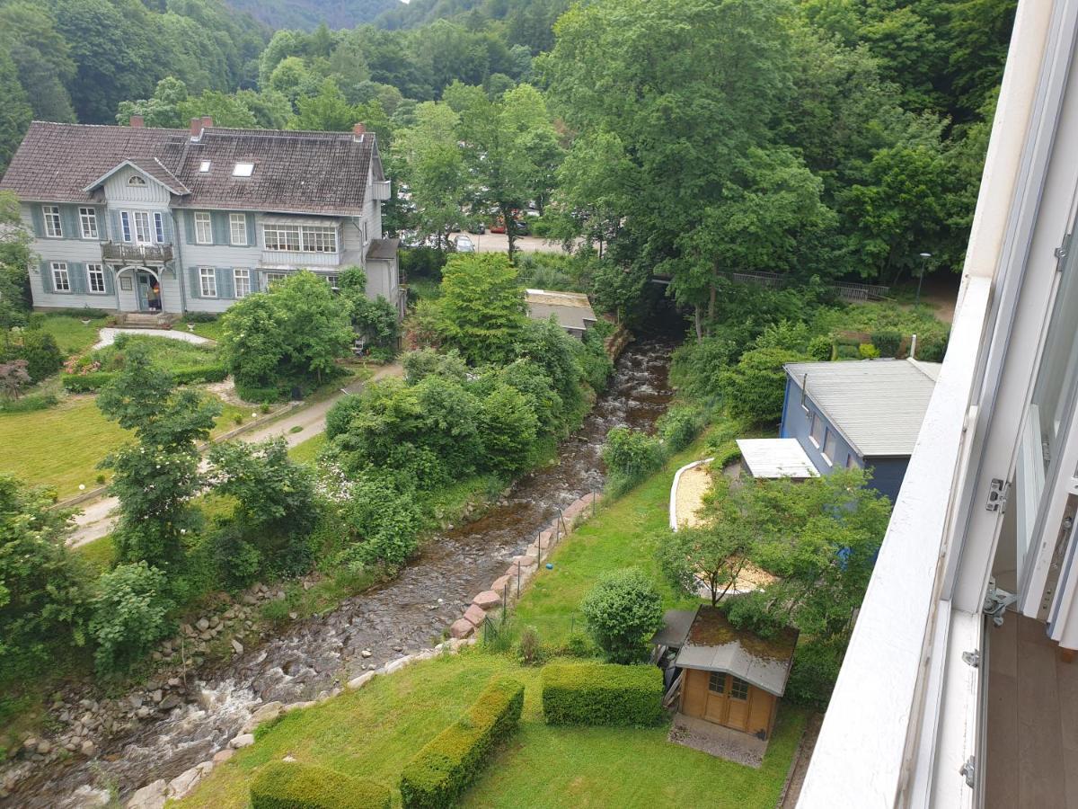 Apartz - Bad Harzburg - Apartment Mit Sauna In Idealer Lage Mit Bergblick Extérieur photo